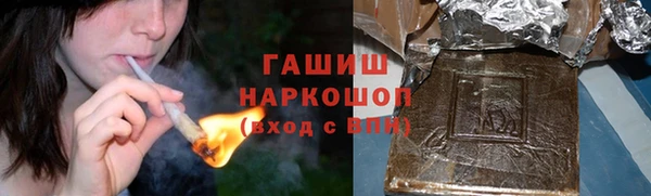шишки Арсеньев