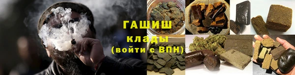 шишки Арсеньев
