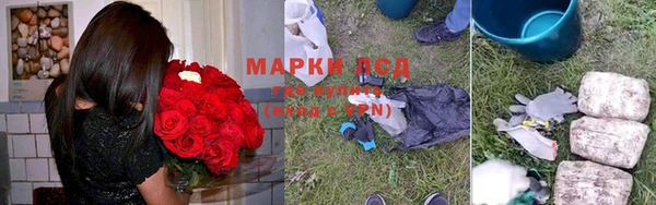 эйфоретик Аркадак