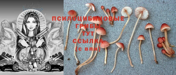 прущие грибы Алексеевка